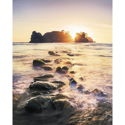 Wall Pops Island Dreaming Wall Mural Multicolor