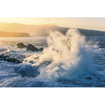 Wall Pops Exploding Elements Wall Mural Blues