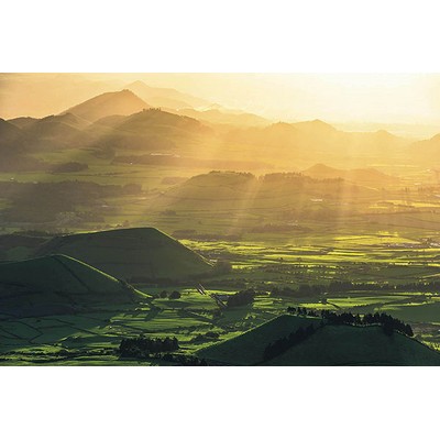 Wall Pops Crater Land Wall Mural Greens