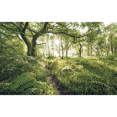 Wall Pops Mystic Path Wall Mural Greens
