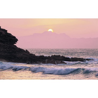 Wall Pops Forbidden Love Wall Mural Multicolor