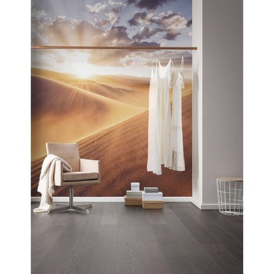 Wall Pops Sunrise Sanddune Wall Mural Multicolor