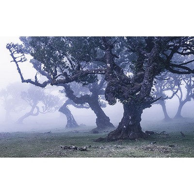 Wall Pops Ghost Line Wall Mural Multicolor