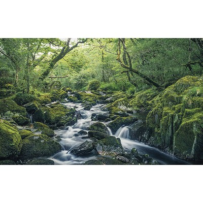 Wall Pops Green Tales Wall Mural Greens