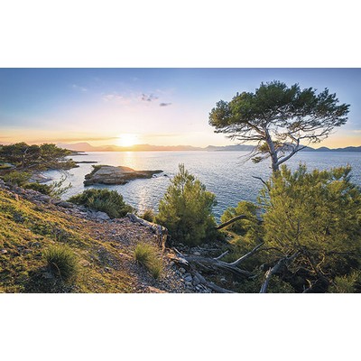 Wall Pops Southern Light Wall Mural Multicolor