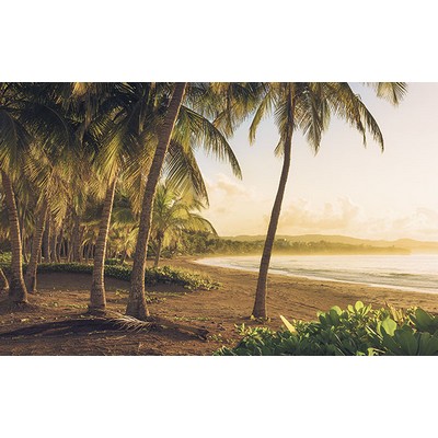 Wall Pops Golden Lands Wall Mural Multicolor