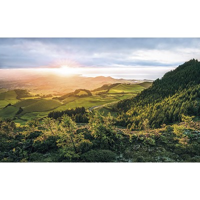 Wall Pops Paradise Island Wall Mural Greens