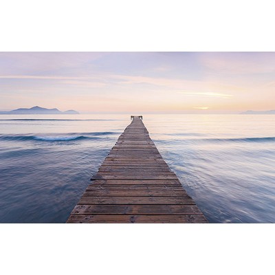 Wall Pops Dock Peace Wall Mural Multicolor