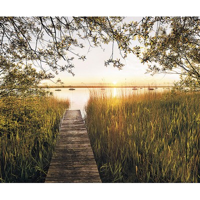 Wall Pops Lakeside Wall Mural Multicolor