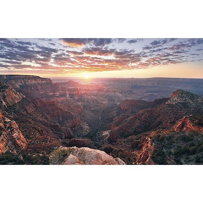 Wall Pops The Canyon Wall Mural Multicolor
