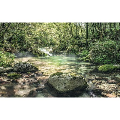 Wall Pops Tranquil Creek Wall Mural Greens