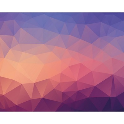 Wall Pops Shades of Geometric Wall Mural Multicolor