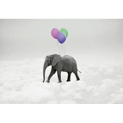 Wall Pops Elephant And Balloons Wall Mural Greys