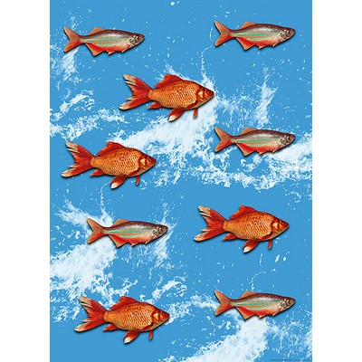 Wall Pops Gold Fish Wall Mural Multicolor