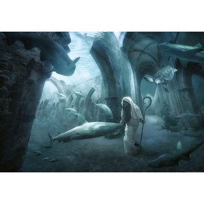 Wall Pops The Sea Shepherd Wall Mural Blues