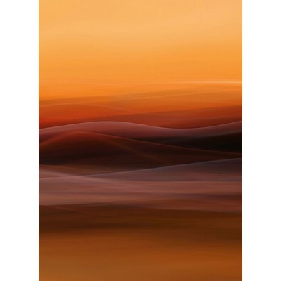 Wall Pops Orange Fog Wall Mural Oranges