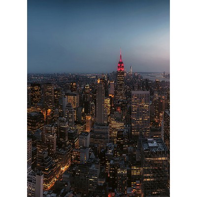 Wall Pops New York City Skyline Wall Mural Multicolor
