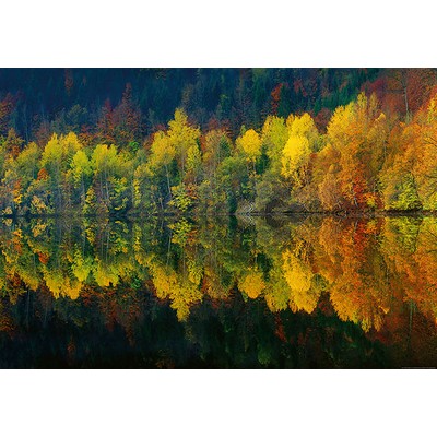 Wall Pops Autumn Forest Lake Wall Mural Greens