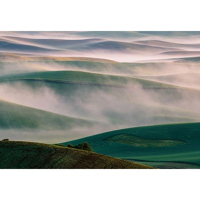 Wall Pops Misty Hills Wall Mural Greens