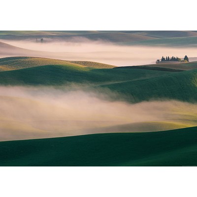 Wall Pops Misty Hills Wall Mural Greens