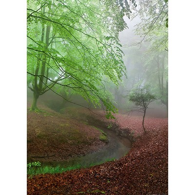 Wall Pops Foggy Forest Wall Mural Multicolor