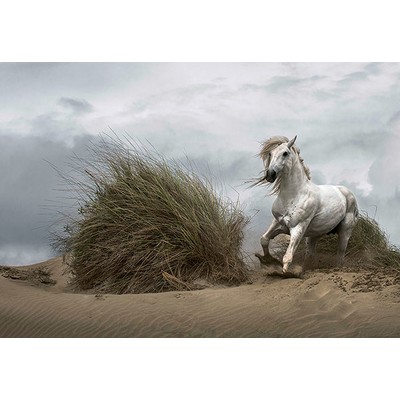 Wall Pops White Wild Horse Wall Mural Neutrals