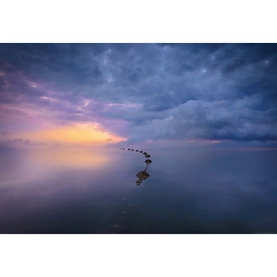 Wall Pops Wetland Sunrise Wall Mural Purples