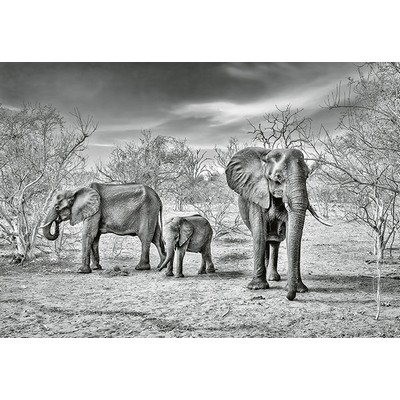 Wall Pops Elephant Family Wall Mural Greys