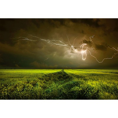 Wall Pops Lightning And Thunder Wall Mural Greens