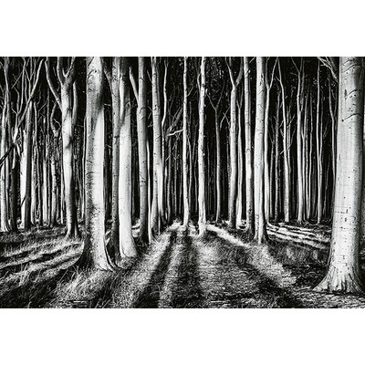 Wall Pops Ghost Forest Wall Mural Blacks