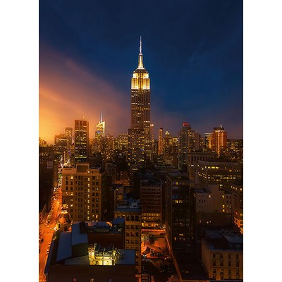 Wall Pops Empire State Building New York Wall Mural Multicolor