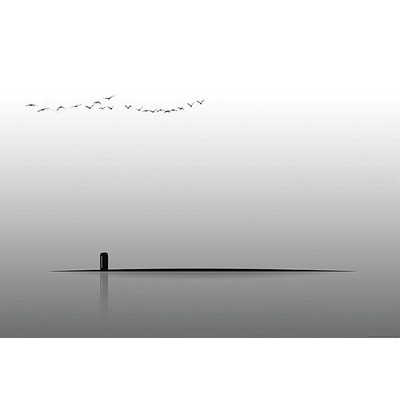 Wall Pops Abstract Reality Wall Mural Greys