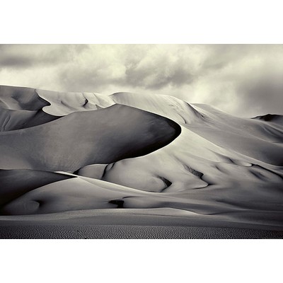 Wall Pops Vintage Sand Dunes Wall Mural Greys