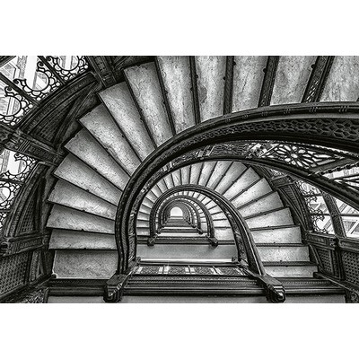 Wall Pops Vintage Staircase Wall Mural Blacks