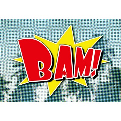 Wall Pops Bam Comic Wall Mural Multicolor