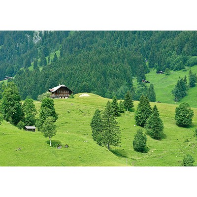 Wall Pops Swiss Mountains Forest Wall Mural Greens
