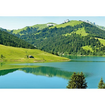 Wall Pops Swiss Mountain Lake Launensee Gstaad Wall Mural Greens