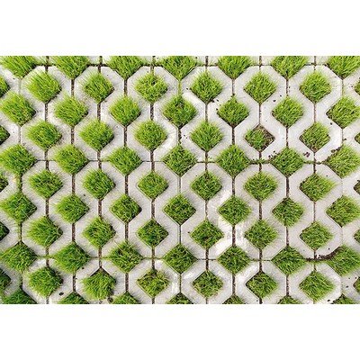 Wall Pops Cobblestone And Grass Wall Mural Greens