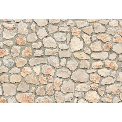 Wall Pops Natural Stone Wall I Wall Mural Neutrals