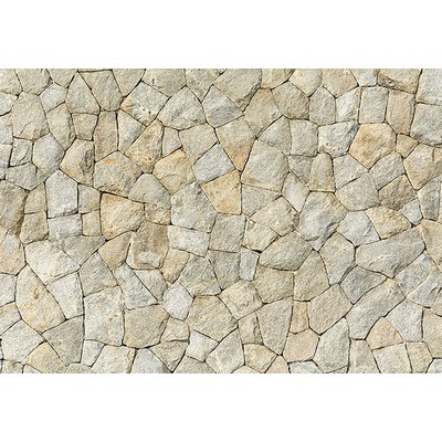 Wall Pops Natural Stone Wall Wall Mural Neutrals
