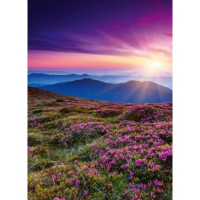 Wall Pops Pink Rhododendron Wall Mural Multicolor