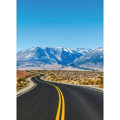 Wall Pops Road Trip USA Wall Mural Multicolor