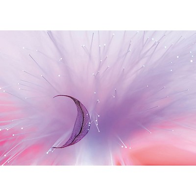 Wall Pops Pastel Leaf Wall Mural Purples