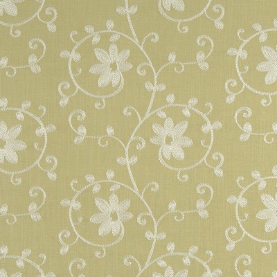 Clarke and Clarke ASHLEY F0353 PARSLEY