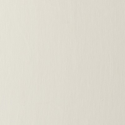 Clarke and Clarke CORINA F0413 IVORY