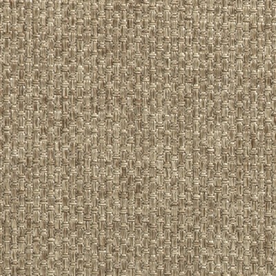 Clarke and Clarke MAXIMUS F0436 TAUPE