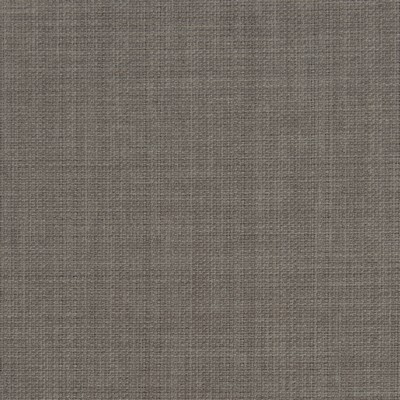 Clarke and Clarke LINOSO MINK