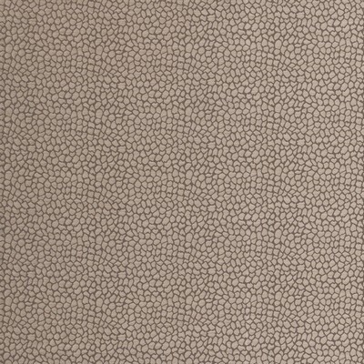 Clarke and Clarke ECAILLE F0676 TAUPE
