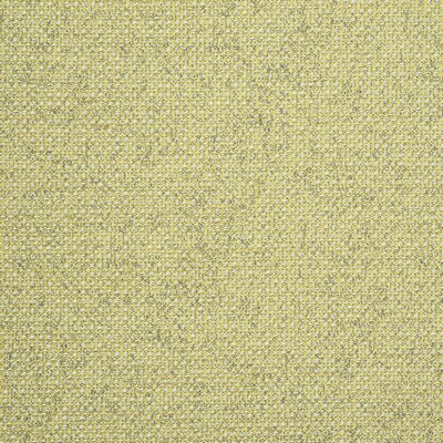 Clarke and Clarke Casanova 1 ACACIA