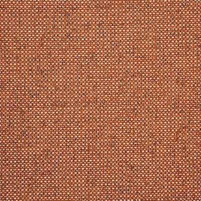 Clarke and Clarke CASANOVA F0723 SPICE